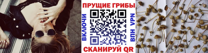 Псилоцибиновые грибы Magic Shrooms  Изобильный 