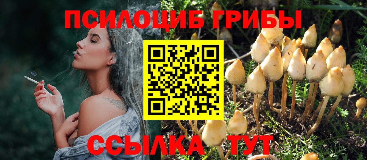 Псилоцибиновые грибы прущие грибы Изобильный